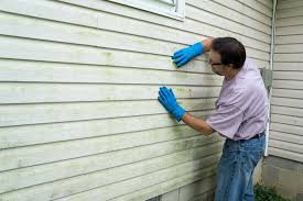 Best Siding Removal and Disposal  in Ashton, ID